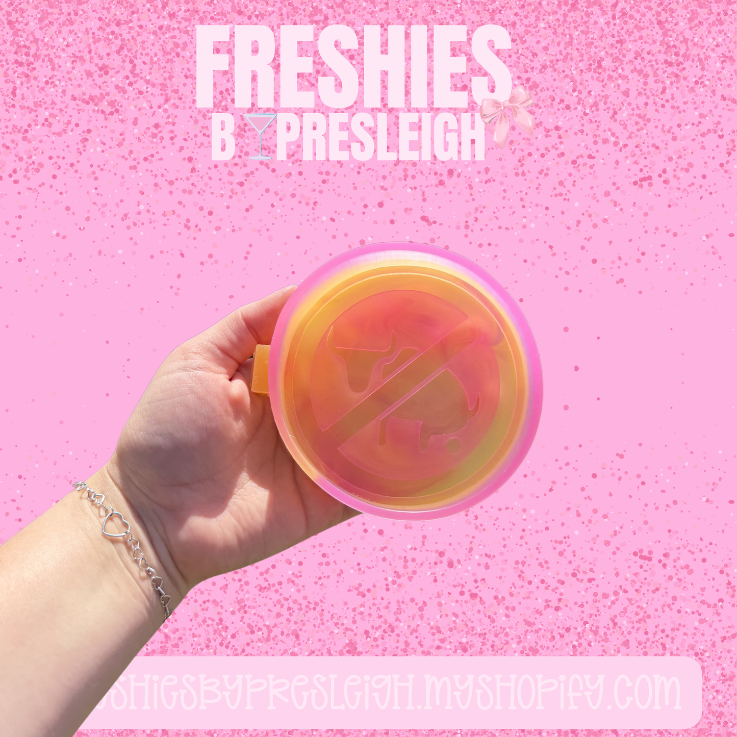 No BS Freshie Mold