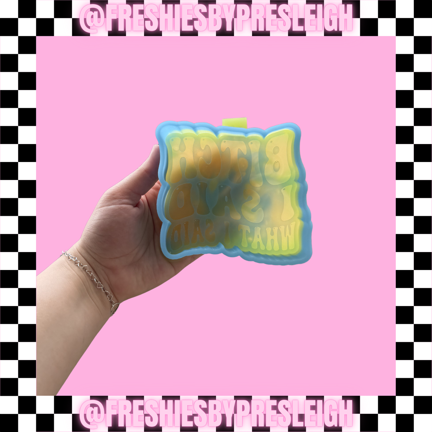 B I Said What I Said Freshie Mold
