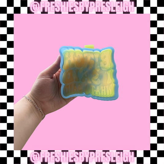 B I Said What I Said Freshie Mold