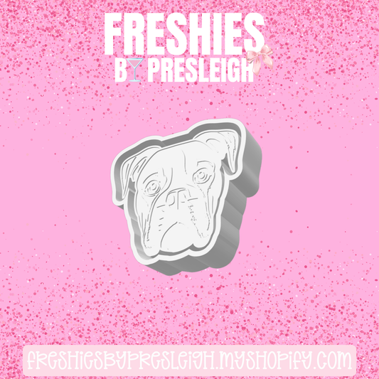 Boxer Freshie Mold